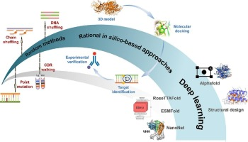 Affinity maturation of antibody fragments: A review encompassing the development from random approaches to computational rational optimization
