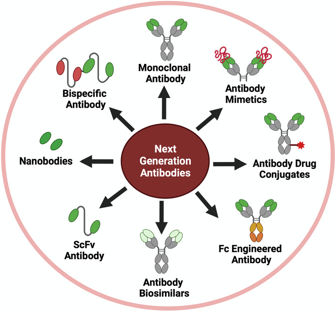 Schematic representation of next-generation Abs