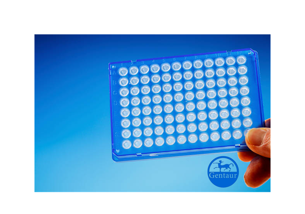 ELISA  AFF4 anti-
