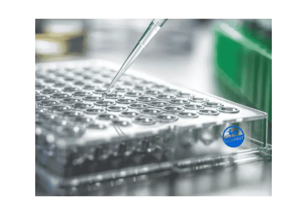 ELISA  AGO3 Antibody, FITC  