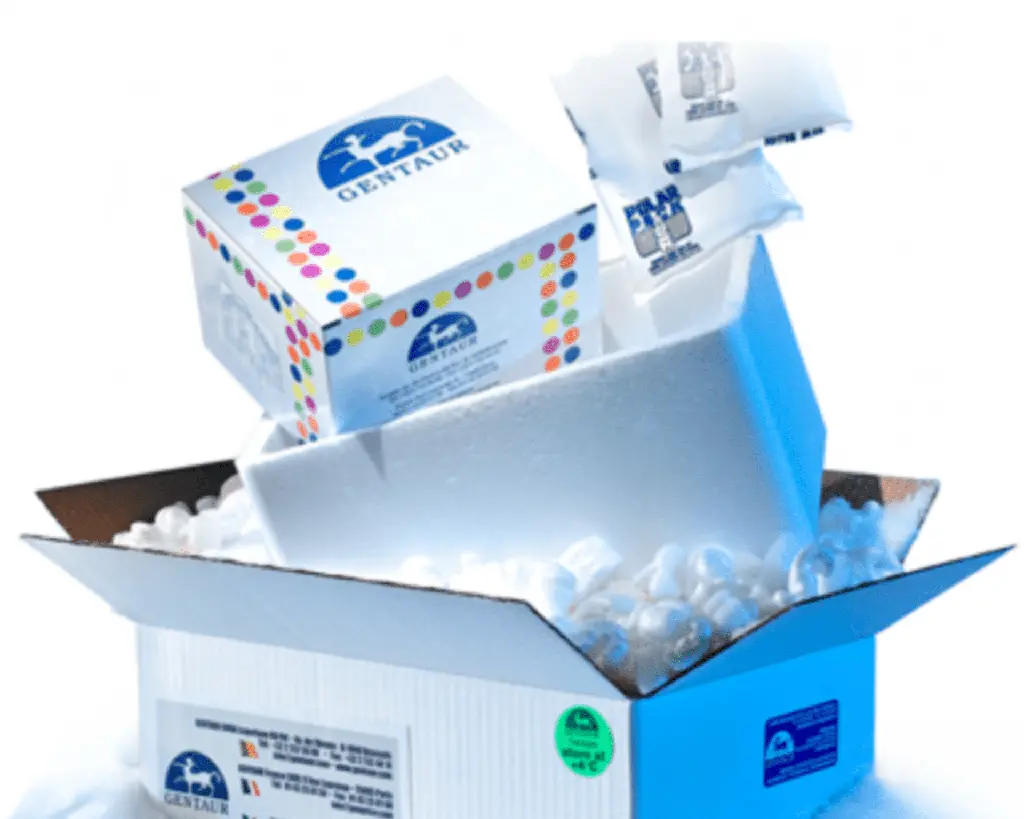 African Swine Fever Virus (ASFV) Real-time PCR Kit - 50 reactions