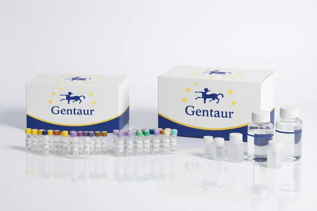 [KG9011-BC-sf] Zymogram-PAG-BC, 10x8, 10% Pre-cast Gel, 1.0mm, 10well