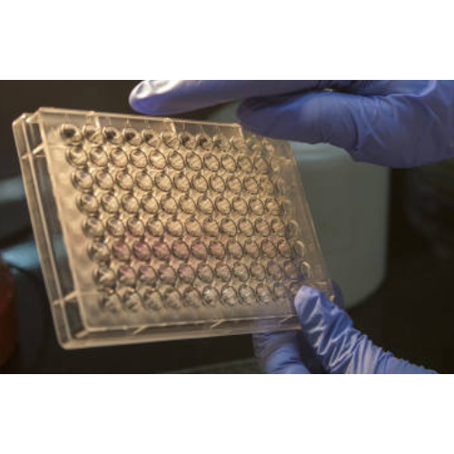 [FNab00172] ELISA  ADK anti-
