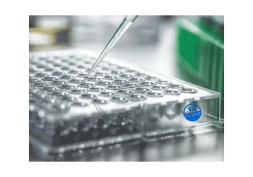 [CSB-PA875700LC01HU] ELISA  AGO3 Antibody, FITC  