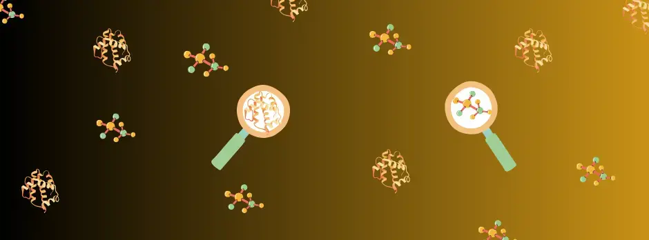 protein folding center