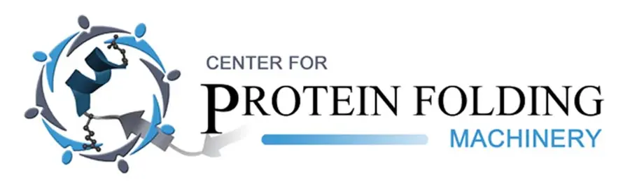 protein folding center